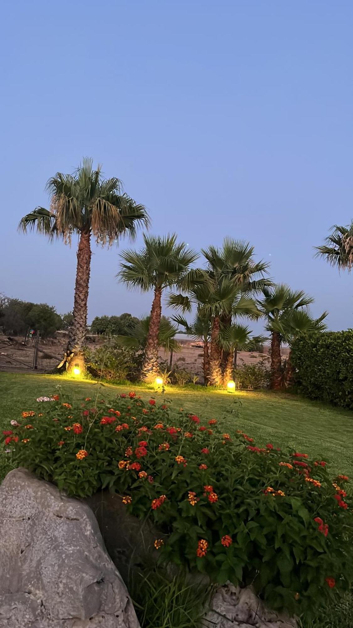 Masseria Boscorotondo Шикли Экстерьер фото