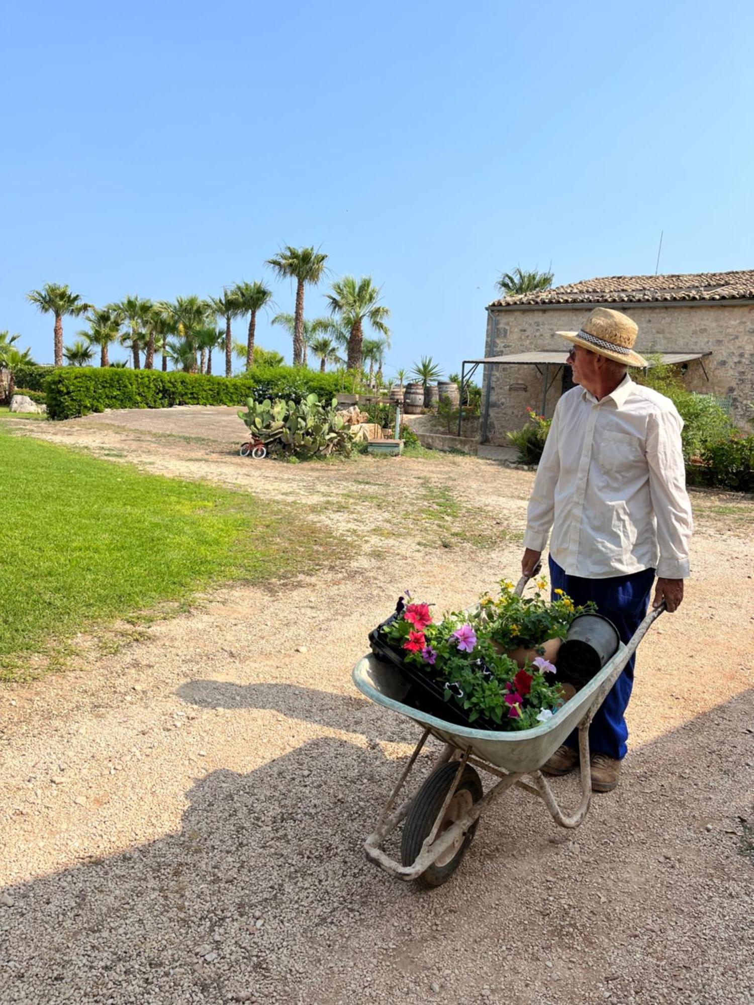 Masseria Boscorotondo Шикли Экстерьер фото