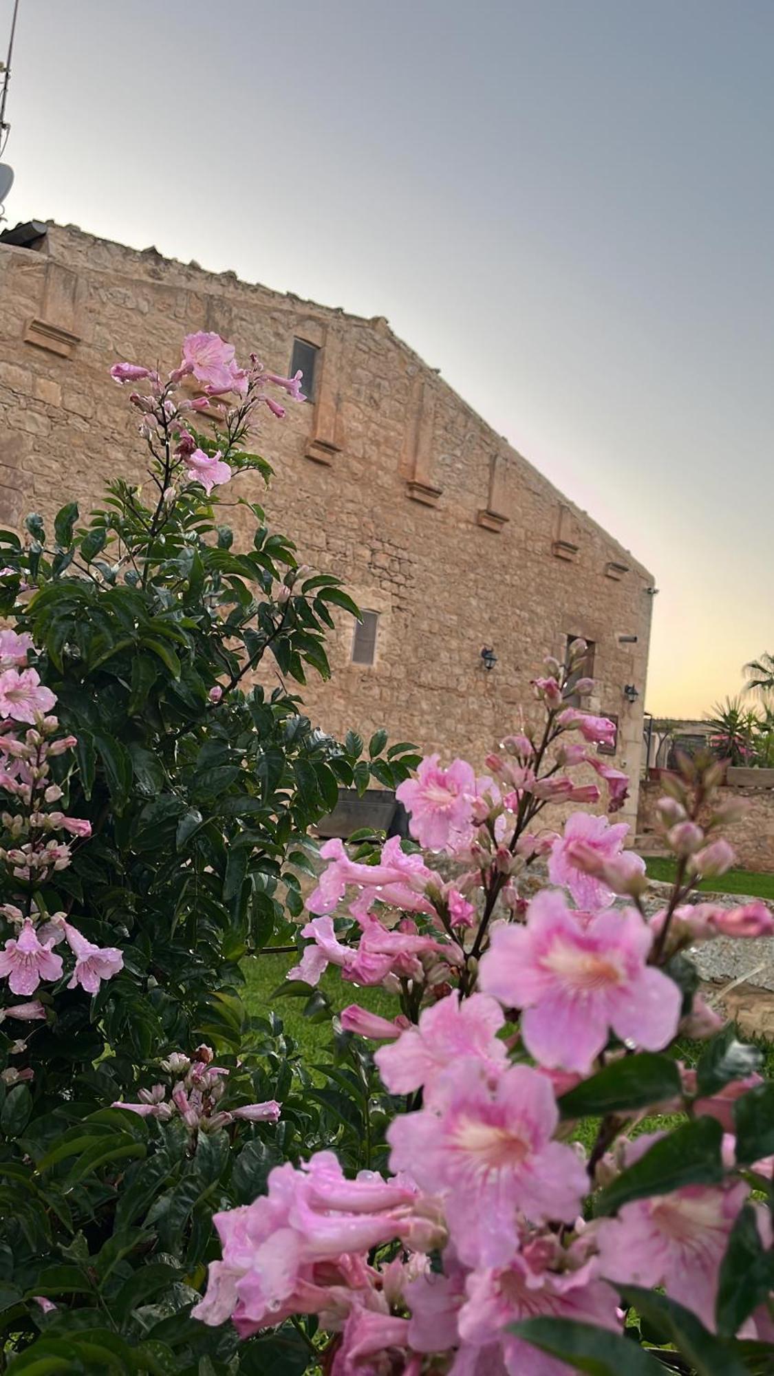 Masseria Boscorotondo Шикли Экстерьер фото