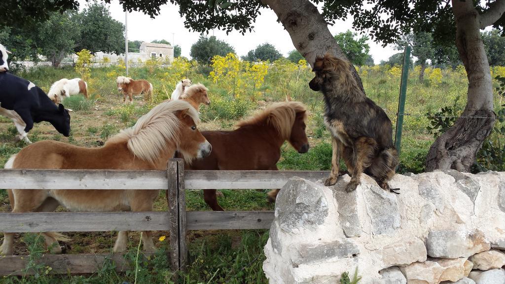 Masseria Boscorotondo Шикли Экстерьер фото